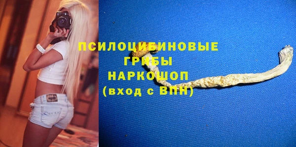 spice Верхний Тагил