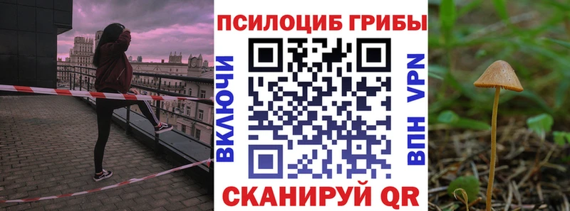 Псилоцибиновые грибы GOLDEN TEACHER Вяземский