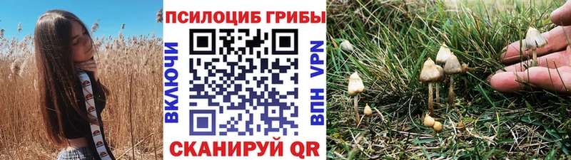 купить  цена  Вяземский  Галлюциногенные грибы MAGIC MUSHROOMS 